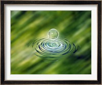 Clear bubble rising from ripples in mottled green water Fine Art Print