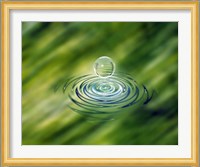 Clear bubble rising from ripples in mottled green water Fine Art Print