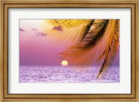 Stylized tropical scene with violet sea, pink sky, setting sun and palm fronds Fine Art Print