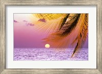 Stylized tropical scene with violet sea, pink sky, setting sun and palm fronds Fine Art Print