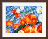 Kaleidoscopic flowers in blues, orange and white Fine Art Print