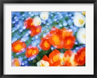 Kaleidoscopic flowers in blues, orange and white Fine Art Print
