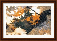 Collage of green and pale orange leaves, white paper flower and abstract rocks Fine Art Print