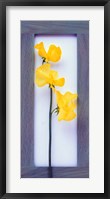 Rectangular purple frame with yellow flowers on green stems in center on pink background Fine Art Print