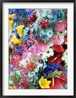 Collage of multi colored flowers Fine Art Print