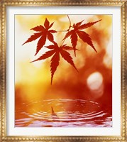 Selective focus of red leaves above water ripples Fine Art Print
