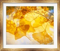 Selective focus close up of golden yellow autumn leaves Fine Art Print