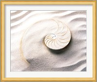 Shell spiraling into wavy sand pattern Fine Art Print
