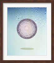 Crystal sphere floating in water and bubbles Fine Art Print