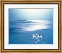 Water bubbles rising to surface of water toward bright light Fine Art Print