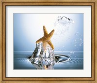 Starfish rising on water bubble toward bright light Fine Art Print