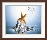 Starfish rising on water bubble toward bright light Fine Art Print