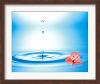 Water drops rising from water rings with small coral flower Fine Art Print