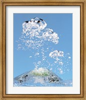 Churning bubbles rising upwards in blue water Fine Art Print