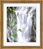 Green leaves cascading in front of waterfall Fine Art Print