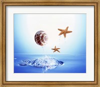 A shell and two starfish floating above bubbling water Fine Art Print