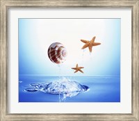 A shell and two starfish floating above bubbling water Fine Art Print