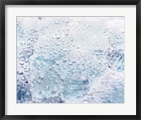 Close up of water droplets on lavender glass Fine Art Print