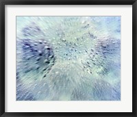 Close up of water droplets on pale blue glass Fine Art Print