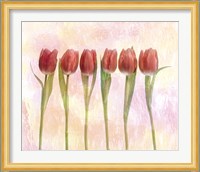 Six pink tulips with green stems and leaves upright in front of pink plaster wall Fine Art Print