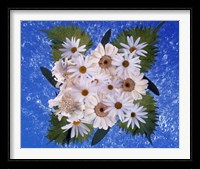 Close up of white daisy bouquet with mottled blue background Fine Art Print