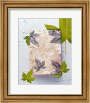 Green and grey leaves superimposed on pink plaster rectangle on white plaster wall Fine Art Print
