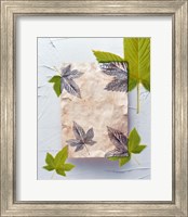 Green and grey leaves superimposed on pink plaster rectangle on white plaster wall Fine Art Print