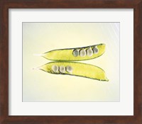 Two transparent pea pods with yellow green background Fine Art Print