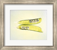 Two transparent pea pods with yellow green background Fine Art Print