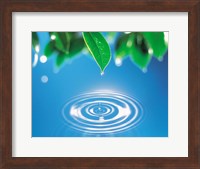 Green leaves dripping water into perfect circles below Fine Art Print