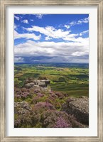 Pastoral Fields from above Coumshingaun Lake, Comeragh Mountains, County Waterford, Ireland Fine Art Print