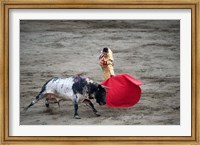 Matador and a bull in a bullring, Lima, Peru Fine Art Print