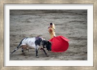 Matador and a bull in a bullring, Lima, Peru Fine Art Print