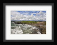 Ballydowane Cove on the Copper Coast, County Waterford, Ireland Fine Art Print