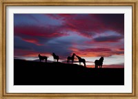 Silhouette of horses at night, Iceland Fine Art Print