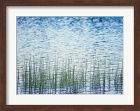 Grass in water Fine Art Print