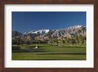 Palm trees in a golf course, Desert Princess Country Club, Palm Springs, Riverside County, California, USA Fine Art Print