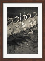 Swan boats in a river, Boston Public Garden, Boston, Massachusetts, USA Fine Art Print