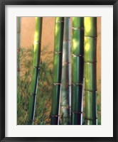 Bamboo Sticks Fine Art Print
