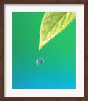 Droplet Falling From Green Leaf with Green and Teal Colored Background Fine Art Print