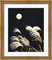 Close Up View of Foxtail Grass with Full Moon in Background Fine Art Print