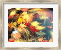 Maple Leaves, Blurred Motion Fine Art Print