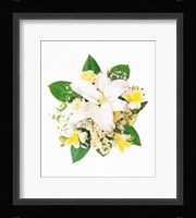 Arranged Flowers and Leaves on White Background Fine Art Print