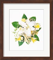 Arranged Flowers and Leaves on White Background Fine Art Print