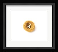Three Eggs in Nest Illustrated On White Background Fine Art Print