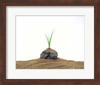 Grass Growing From Stone Settled In Sand Fine Art Print