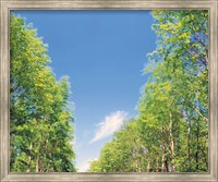 View of Trees against Blue Sky Fine Art Print