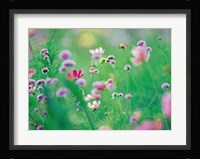 Wildflowers in Bloom Fine Art Print