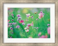 Wildflowers in Bloom Fine Art Print