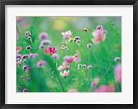 Wildflowers in Bloom Fine Art Print
